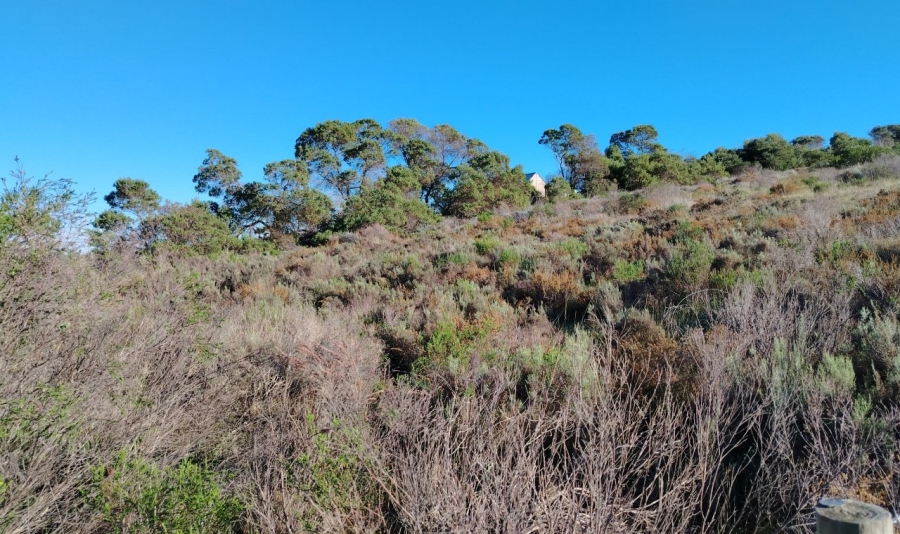 0 Bedroom Property for Sale in Baardskeerdersbos Western Cape